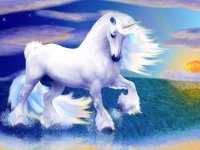 Unicorn White, 5 февраля , Киев, id30422562
